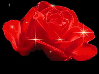 玫瑰花